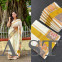 Pochampally Border Kerala Cotton Saree – Premium Quality